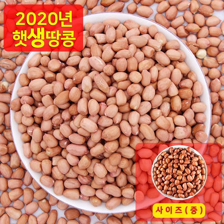 [씨엘로] 2020년 햇 수입중국산 생땅콩 생알땅콩 땅콩 사이즈 (중) 1Kg, 1개