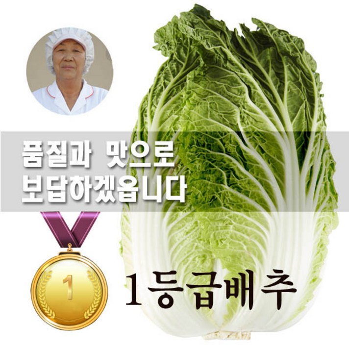 [10월21일발송시작] ]괴산절임배추20kg, 11월 11일발송-12일도착, 20kg