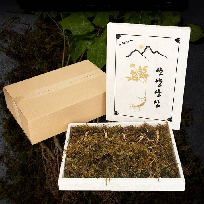 산양산삼 장뇌삼 강원도 7~8년근 정품 산양산삼5뿌리, 단품