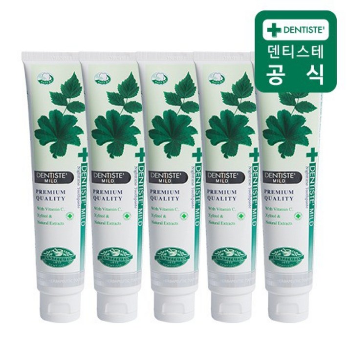 덴티스테 마일드 치약 200g 5개, 없음, 상세설명 참조