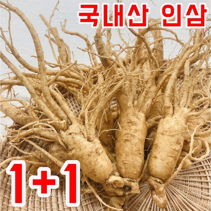 [1+1] 금산 인삼 바른인삼 6년근 5년근 난발삼 수삼 세척인삼 300g, [원플러스원] 난발삼 6~8뿌리, 세척안함