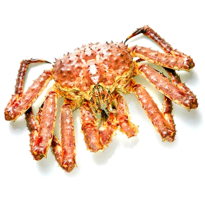 피기팜 블루 레드 러시아 활 킹크랩 2kg~3kg, 1마리, 2.5kg(찜)