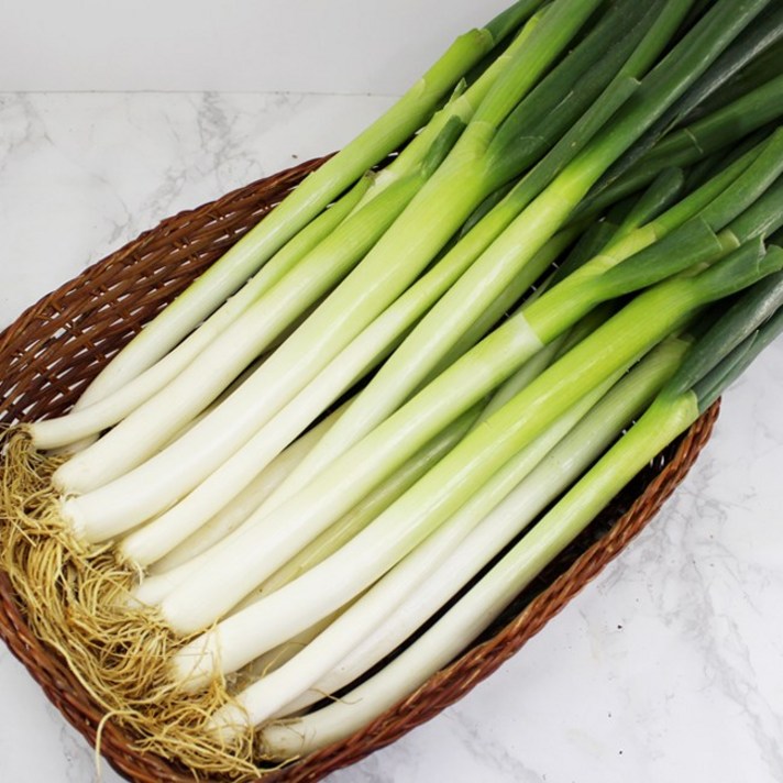 손질대파 시원한 음식맛을 내고 피를 맑게하는 깨끗한 대파, 1매, 500g