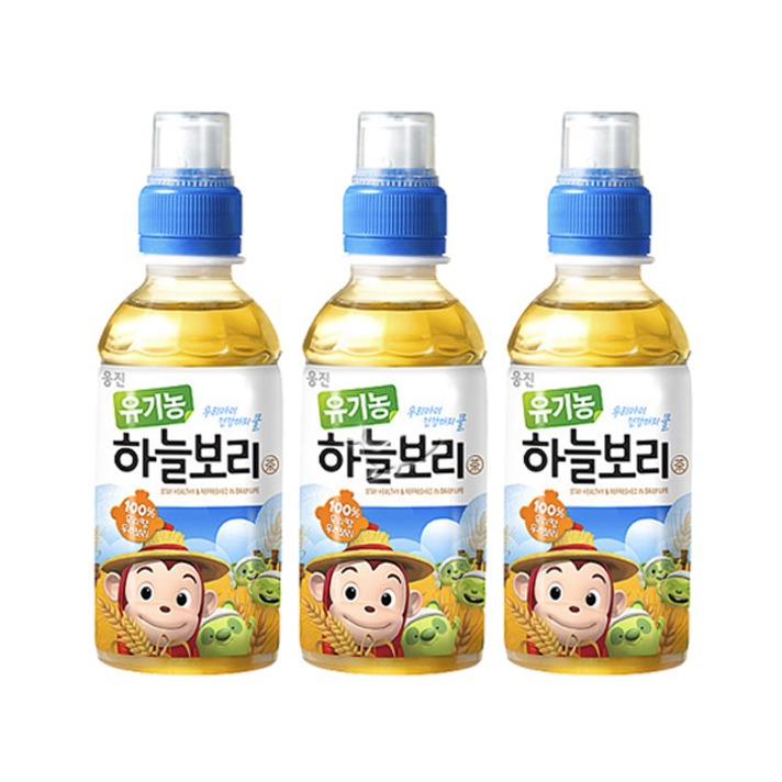 웅진 유기농 하늘보리 200ml, 보리차, 15개