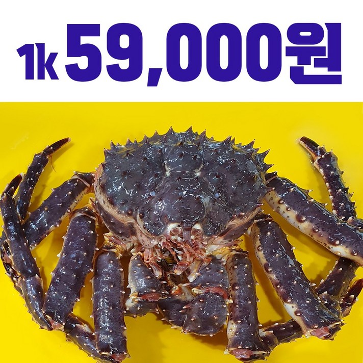 킹크랩 블루킹크랩 래드킹크랩 꼬무리킹크랩 선어킹크랩 시세, 꼬무리 선어대게 6k (4~6미) 찜배송
