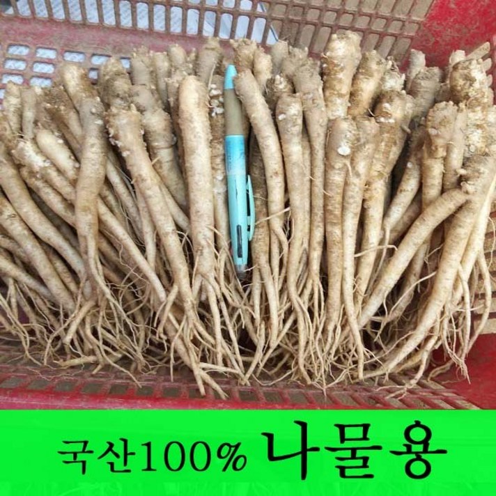 [금산도라지] 직접재배한 생도라지1kg >산지직송>국산도라지 약도라지 엑기스용 나물용 무침 정과용 배즙용 *도매전문*, 1개, 도라지(나물용) 1kg”>		</div>
<div class=