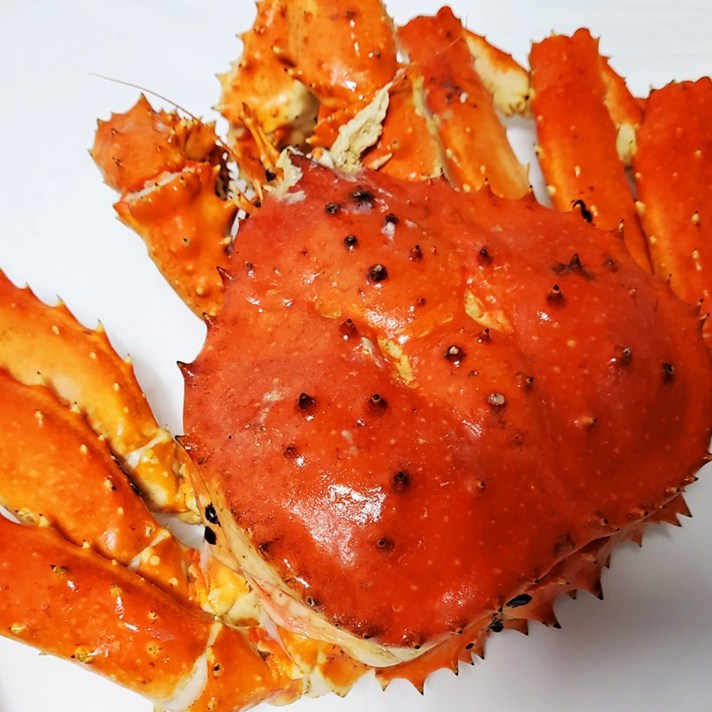 킹크랩3kg 수산 해산물 어패류 러시아 활.선어 레드, 3kg