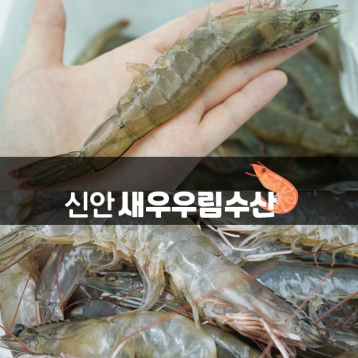 신안새우 신안 프리미엄 국내산 왕새우 새우, 1개, 대하(왕새우) 1kg(40~45미)