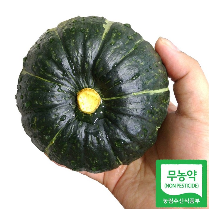 [무농약] 미니 밤호박 1kg / 해남 산지직송