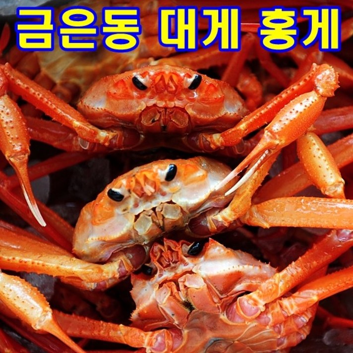 홍게 대게 생물 자숙(찐) 찜 러시아 박달 대게/ 킹크랩 /금은동 생일 선물, 생물 홍게 일반형 3kg(6-9마리)
