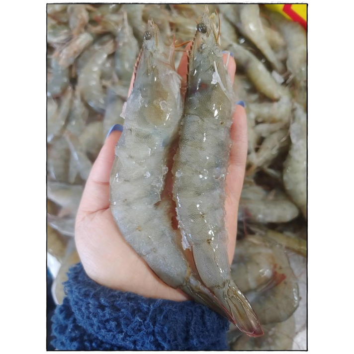 새우 특대 대하구이 새우 소금 구이용 캠핑 새우구이 세트 큰새우 대용량 1kg, 새우 1kg 1개
