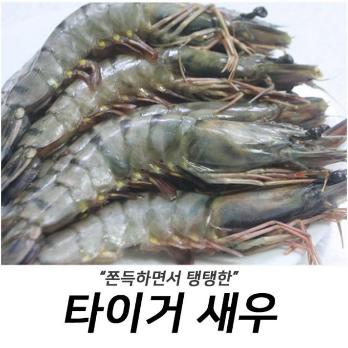 제철 해산물 반찬 탱탱한 식감 타이거새우 20미 1kg(W2B1FE6), 오버레이 1