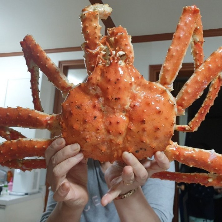 살아가는 활킹크랩 2.5kg 수율 80%, 1개, 3.5kg