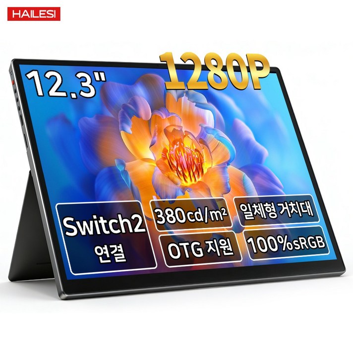 HAILESI S123 1.9K2.4K 12.3인치 터치식 휴대용 모니터, 19201280터치 불가, 31.24cm
