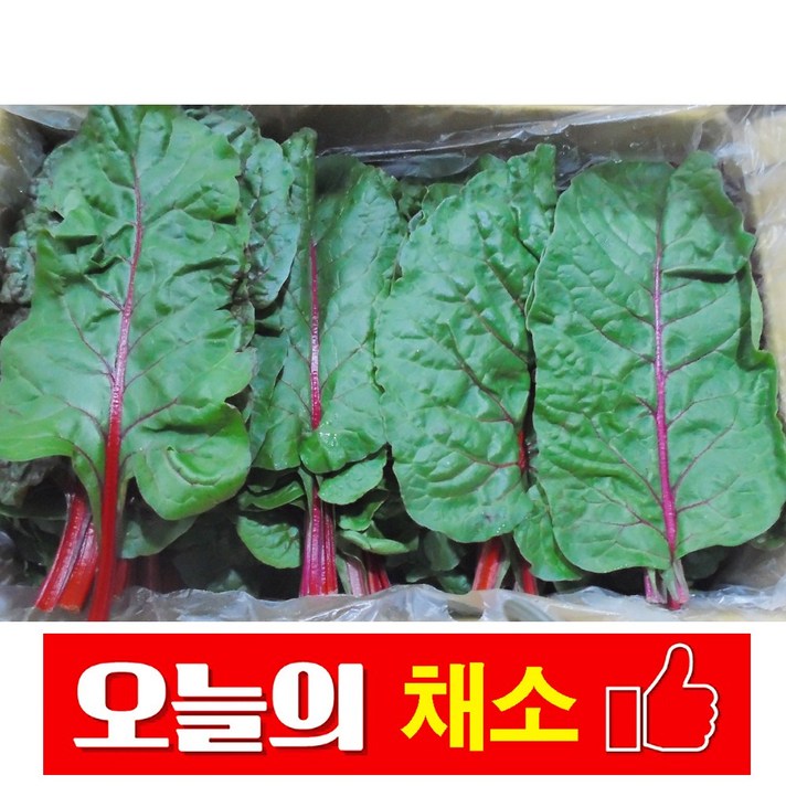 바른채소 적근대 300g 신선함을 그대로 가락시장 가락몰 직배송, 1봉