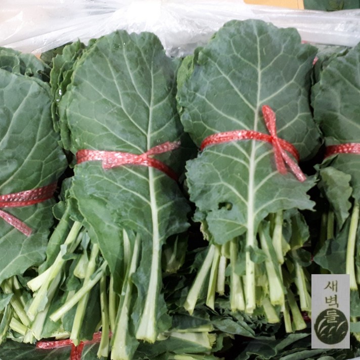 새벽들 케일 (쌈용) 2kg, 1box