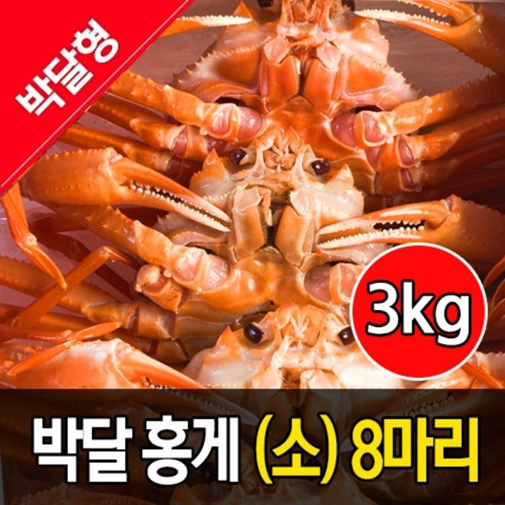 박달홍게 3kg 소(5~7마리 내외), 생물배송, 단일상품