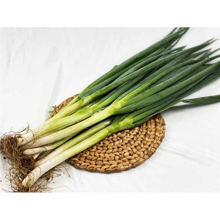 산따옴들따옴 산들따옴 대파 약 1kg 특상품, 2단