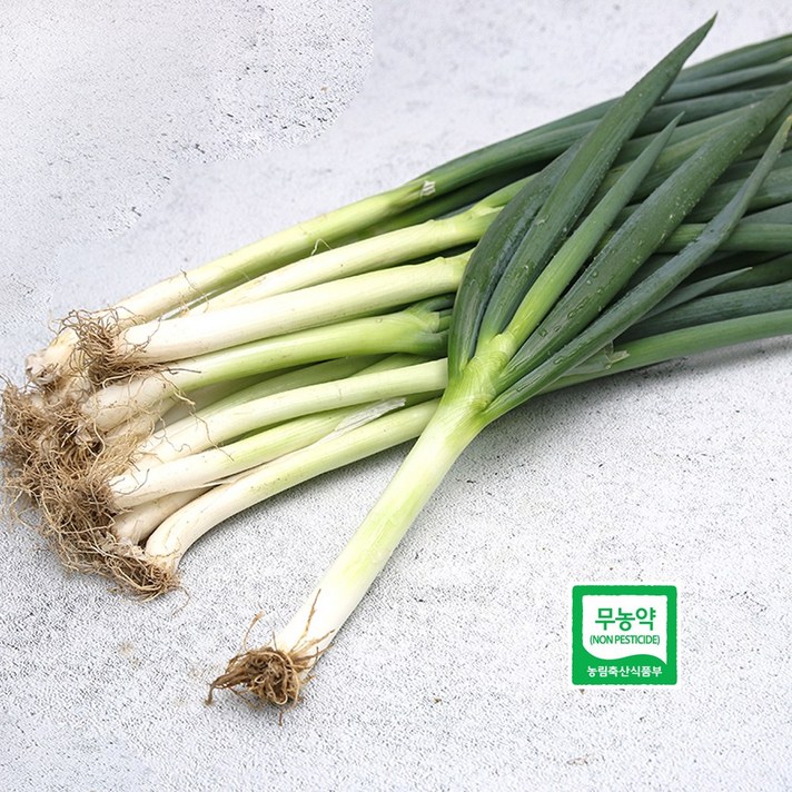 자연과농부들 국내산 무농약 대파 500g 1kg, 1봉, 01_국내산 대파 500g