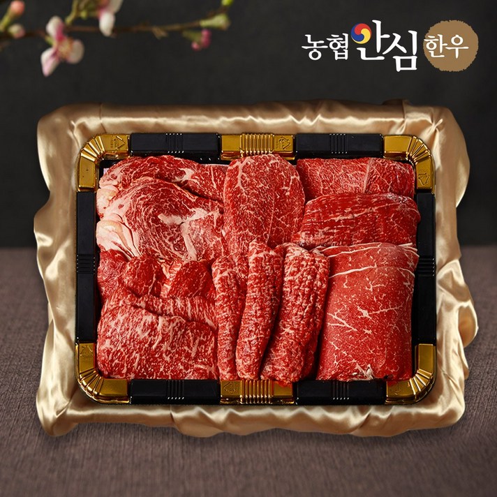 [농협안심한우] 냉장 소한마리 한우선물세트 1등급 1.4kg 소고기 꽃등심 안심 채끝 불고기 양지 국거리 추석, 1번