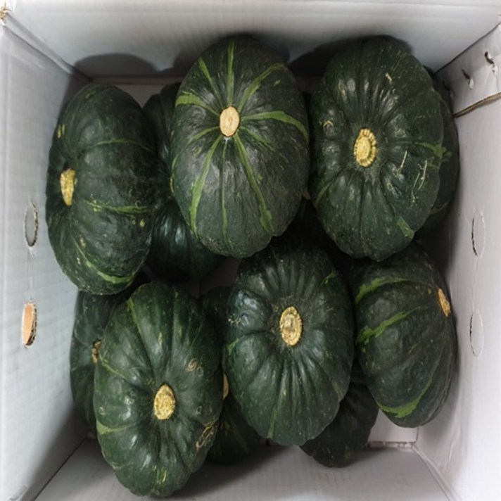 해남 미니 밤호박 2kg 4kg 포근포근 밤맛, 1박스, 미니밤호박 4kg 6개-12개 내외
