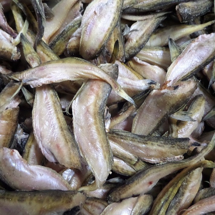 동바다수산 동해안 영덕 반건조 도루묵 500g ~ 1kg내외, 반건조 도루묵 2팩 (1kg내외)