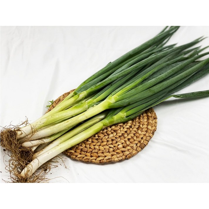 산따옴들따옴 산들따옴 대파 1단 약 1kg 특상품, 1개