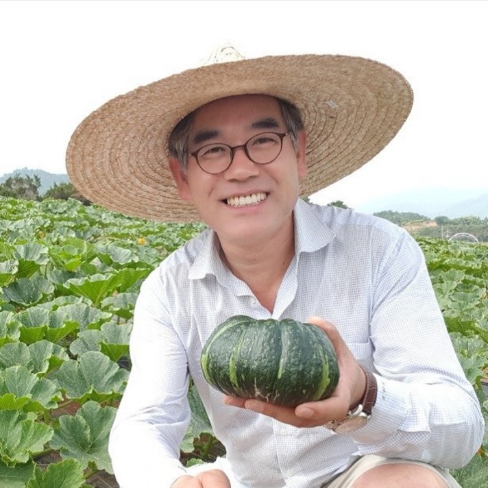나비골 미니밤호박 (무료배송)2021 햇 보우짱, 1박스, 2KG