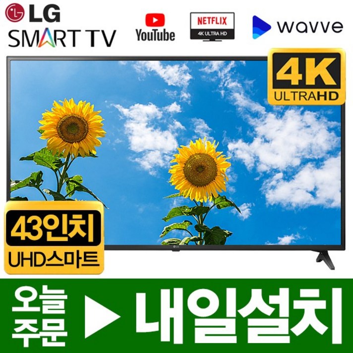 LG전자 43인치 4K UHD 넷플렉스 유투브 스마트 TV, 고객매장방문수령, 자가설치