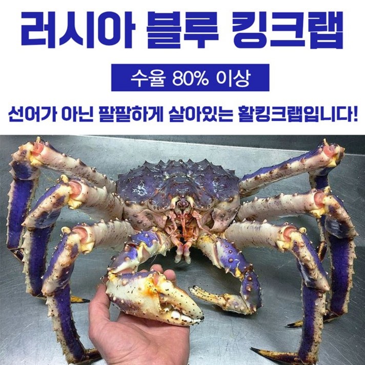 러시아 블루 활킹크랩 수율80%이상 4kg, 단품