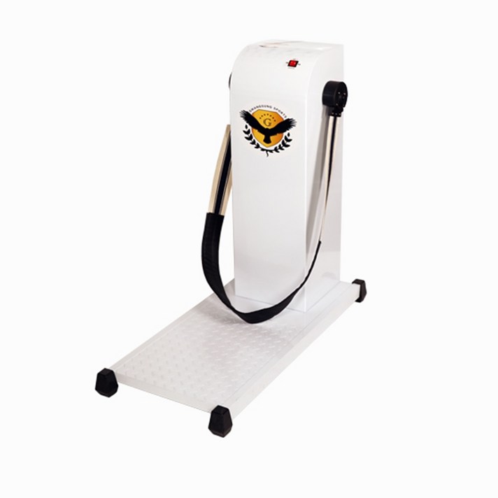 국내산 업소용 가정용 허리 헬스 벨트마사지기, 가정용벨트마사지