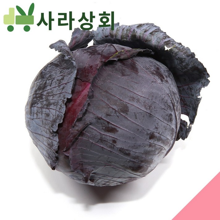사라상회 적양배추 (적채) 4통, 1박스, 6Kg