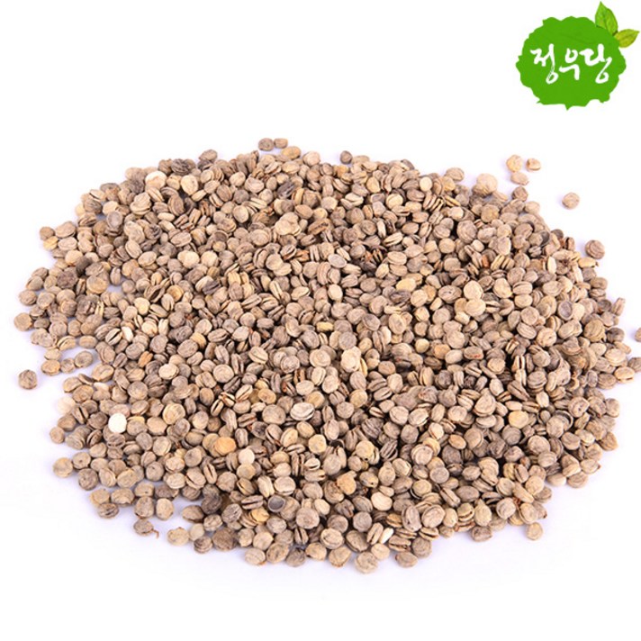 정우당 인삼열매 진생베리열매, 100g, 4개