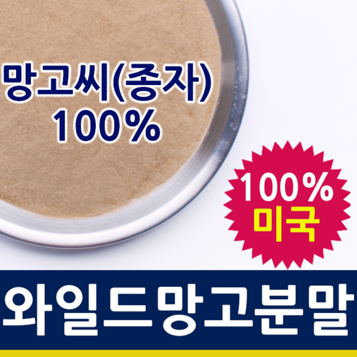 자연스토리 미국산 와일드망고 종자추출 분말, 1개, 500g