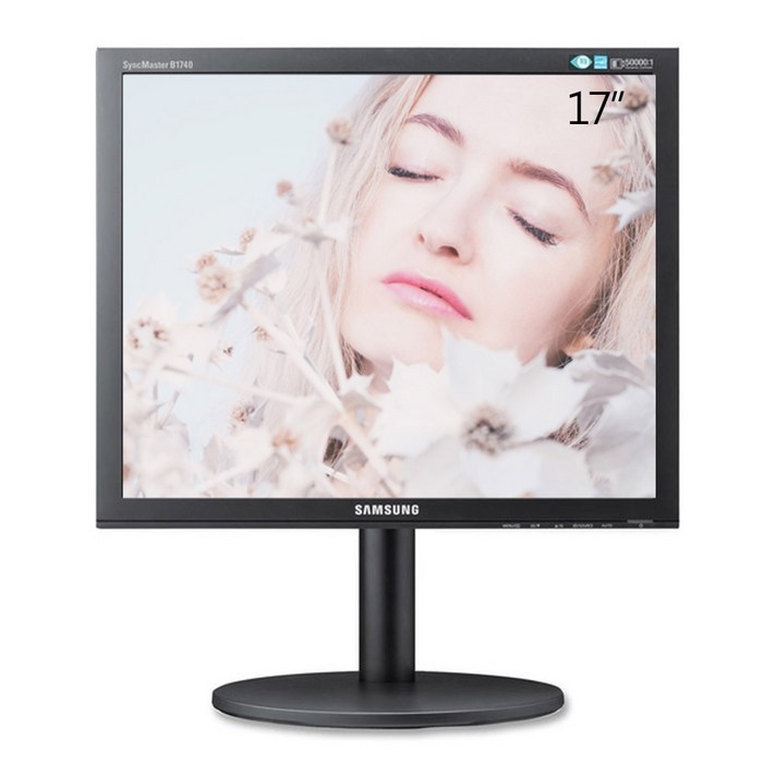 삼성 올블랙 17인치 모니터, B1740R