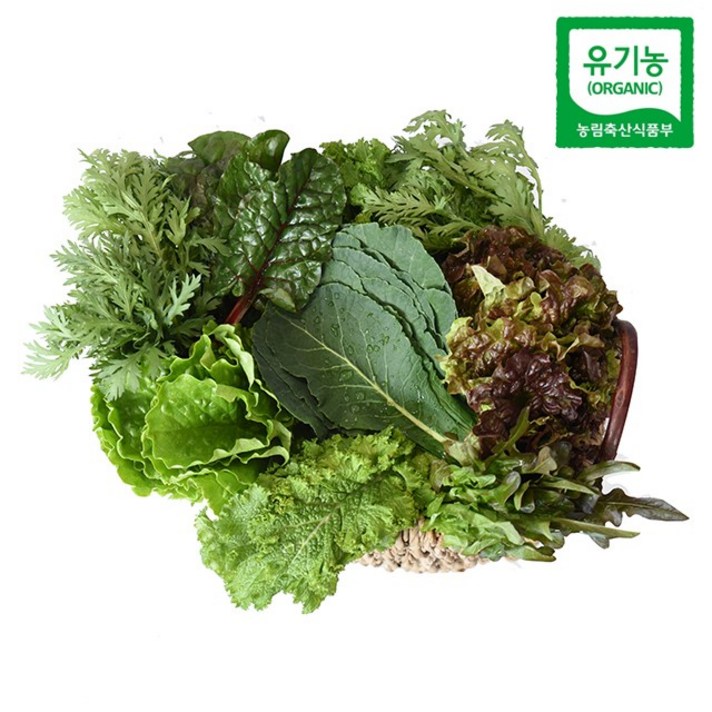 친환경팔도 충주 유기농 쌈채소, 1박스, (혼합쌈채소)600g