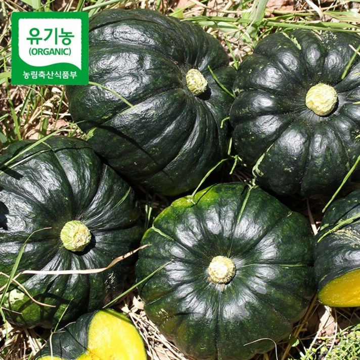 친환경팔도 [산지직송] 함평 유기농 미니 단호박(밤호박) 1kg, 단품