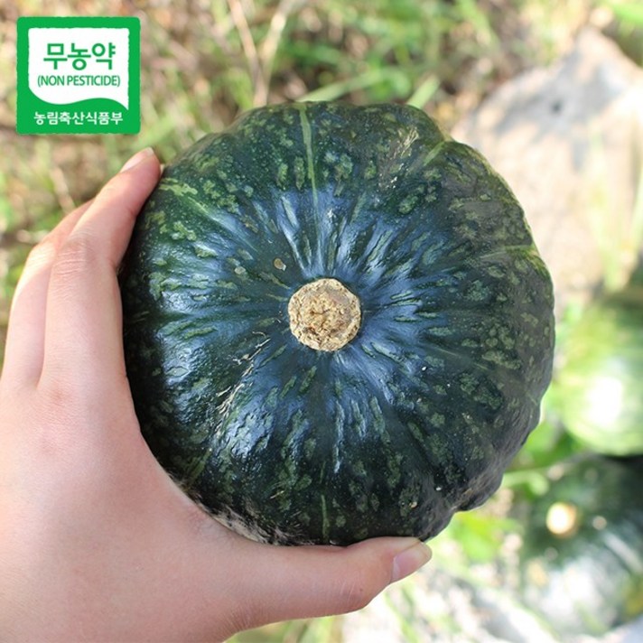 친환경팔도 [산지직송] 함평 무농약 블랙 단호박 4kg, 단품