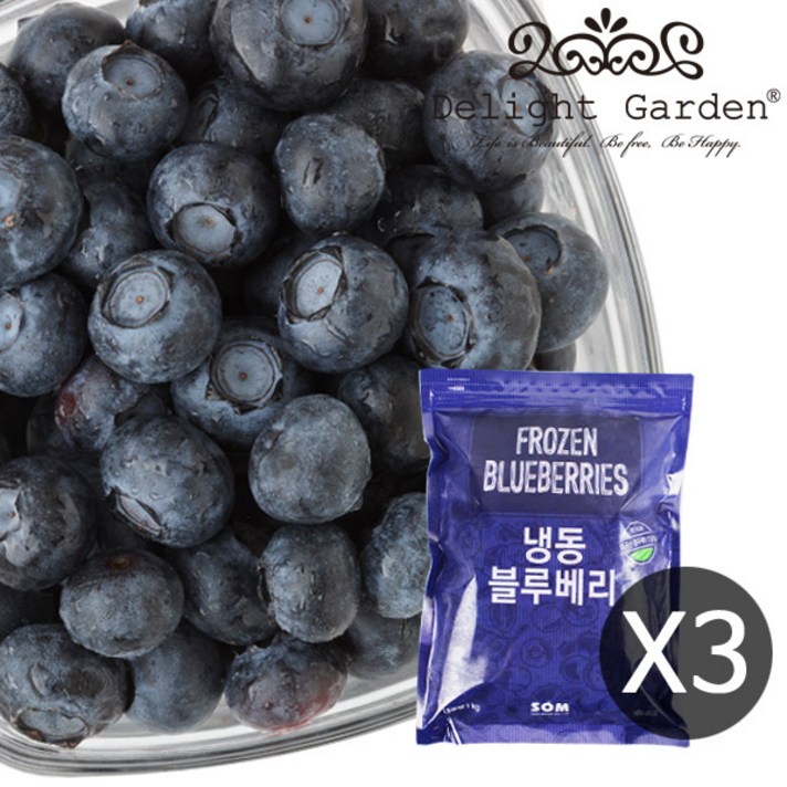 딜라잇가든 [딜라잇가든]냉동 블루베리 A그레이드 1kg x 3팩, 단품