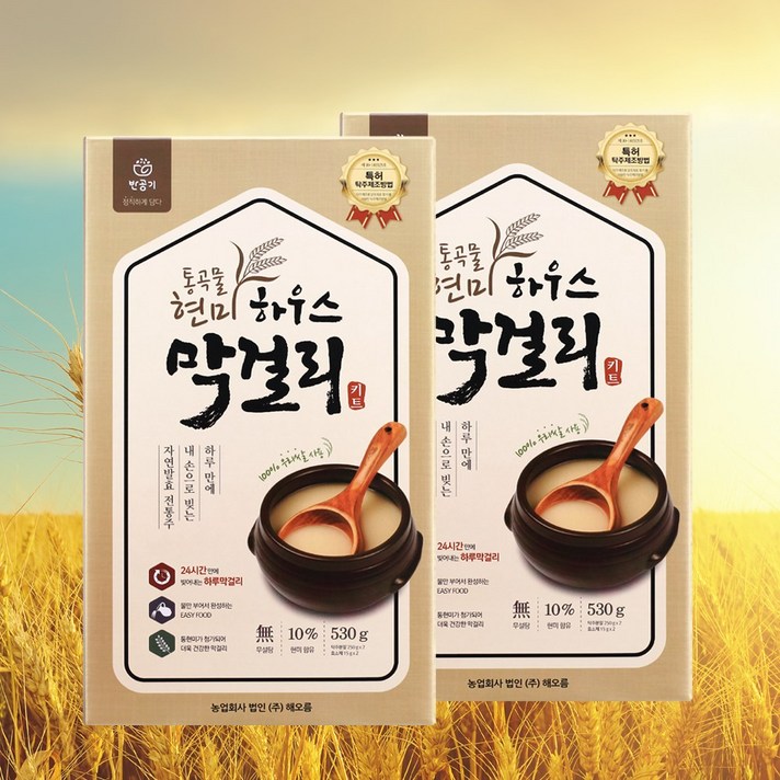 하우스막걸리 하루만에 완성되는 신기한 가루막걸리X2개세트 10병분량 전통주 탁주, 단품