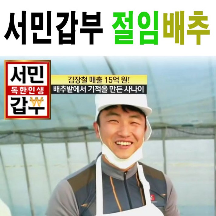서민갑부 해남 절임배추20kg (예약발송), 20kg, 12월3일도착