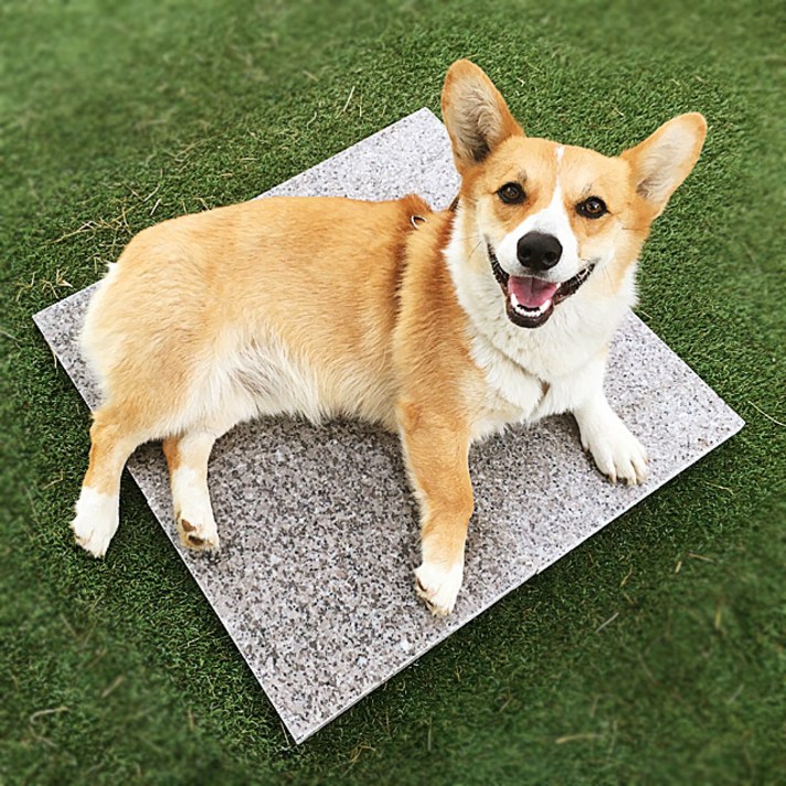 아키아 강아지 대리석 애견 쿨매트, 화강암-천연대리석