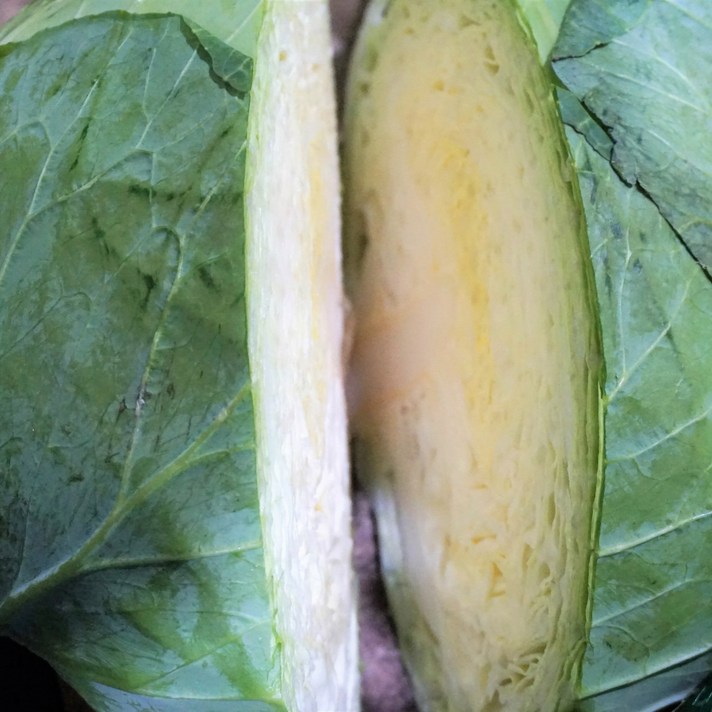 간편 양배추 1통 2통 3통 3kg(1-2통) 5kg(2-3통), 1개, 3kg(1~2통)