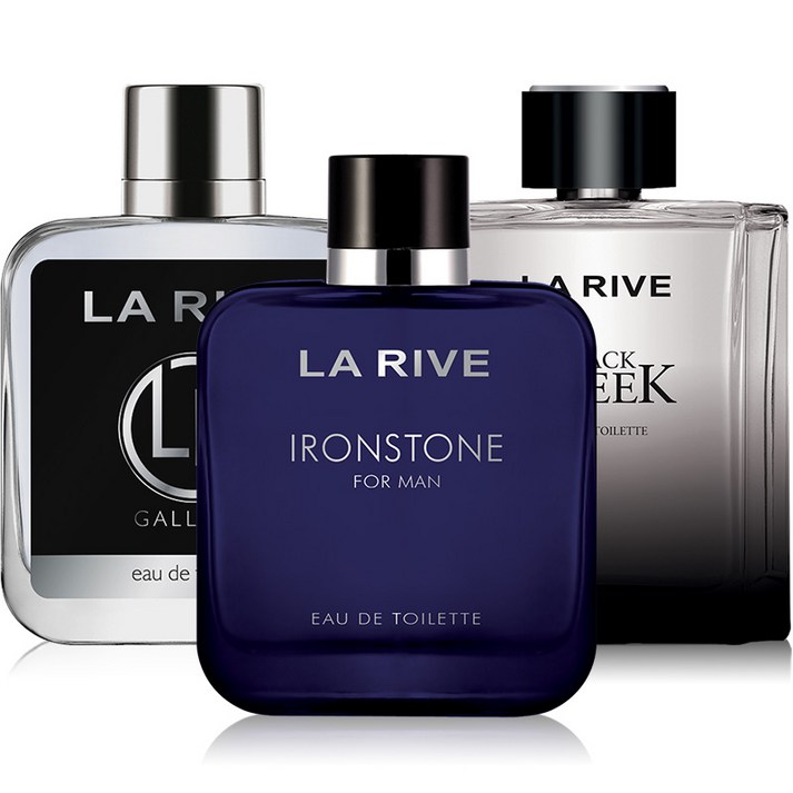 라리브 모던스타일 남성향수 100ml 3종 갈란트블랙크리크아이언스톤, 100ml