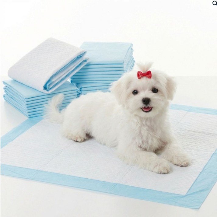 지행건감 강아지 배변패드 고흡수, 4개, 160개입