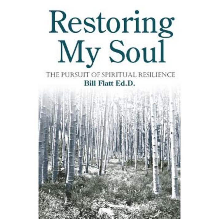 Restoring My Soul The Pursuit of Spiritual Resilience Paperback