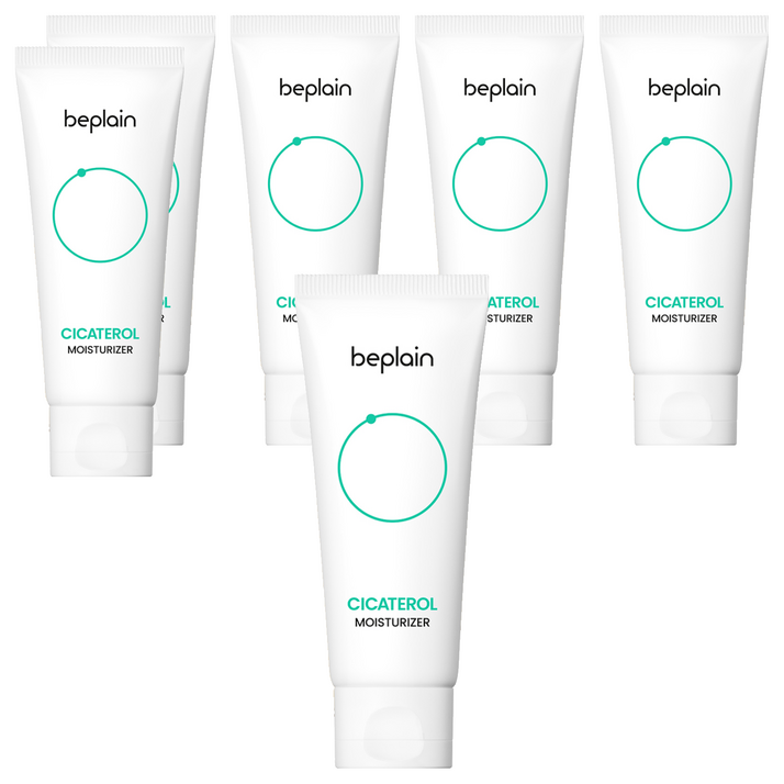 비건뷰티 비플레인 시카테롤 크림, 60ml, 6개