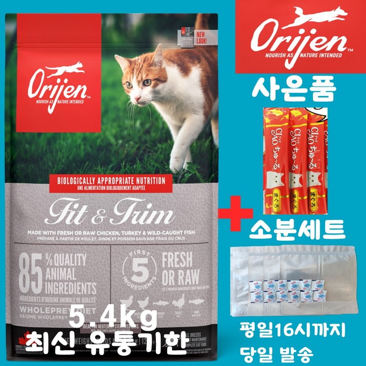 오리젠 피트앤트림 캣 견성상사 단독사은품 증정 판매자 확인필수