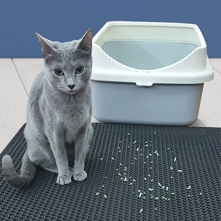 네이처펫 고양이 사막화방지 특대형 벌집매트 네이처펫 고양이 사막화방지 특대형 벌집매트
