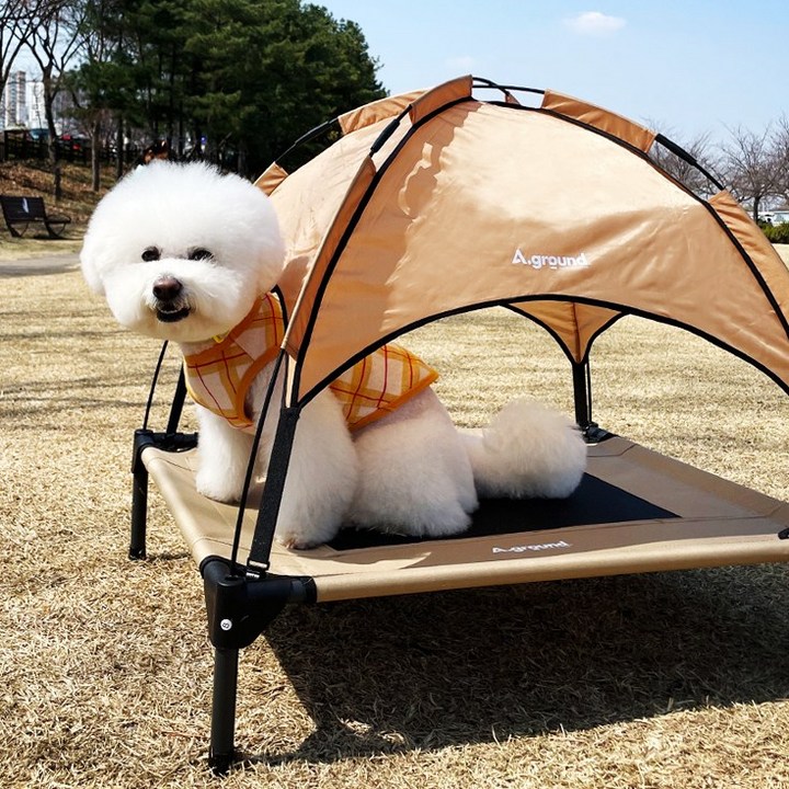 강아지캠핑의자 에이그라운드 베드독 강아지 고양이 애견 캠핑 용품 쇼파 침대 텐트 의자 소파, 블랙